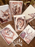 Cartes illustrations Série "Regards sauvage"